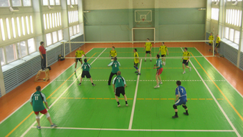Состоялись финальные соревнования по волейболу между командами филиалов ОАО «Московская объединенная электросетевая компания»